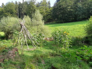 Gemeinschaftsgarten